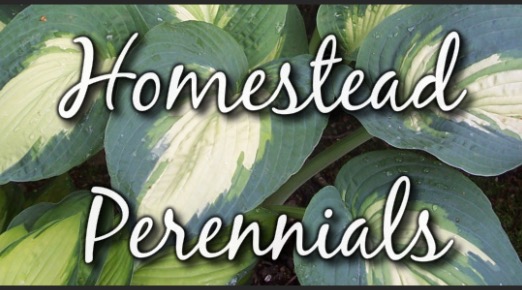 Homestead Perennials