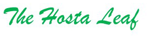 The Hosta Leaf